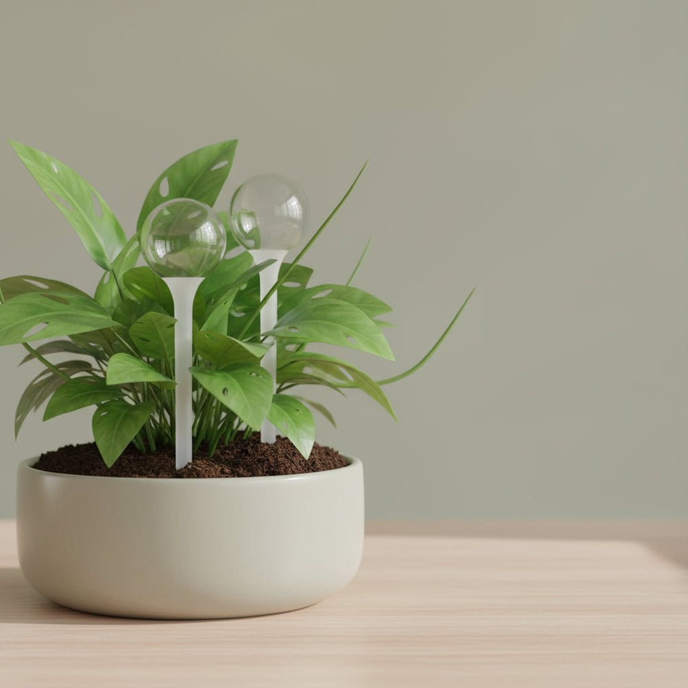 Waterdruppelsysteem - voor plantbewatering - 2 Stuks - Plant - plantenmagie