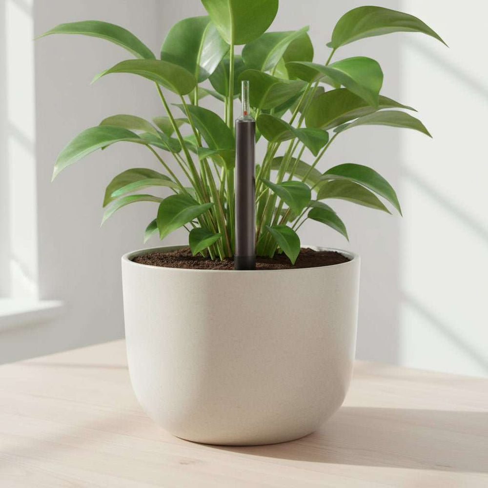 indoor plant water meter Water meter 22 cm – plant water meter for healthy plants – Planten Magie