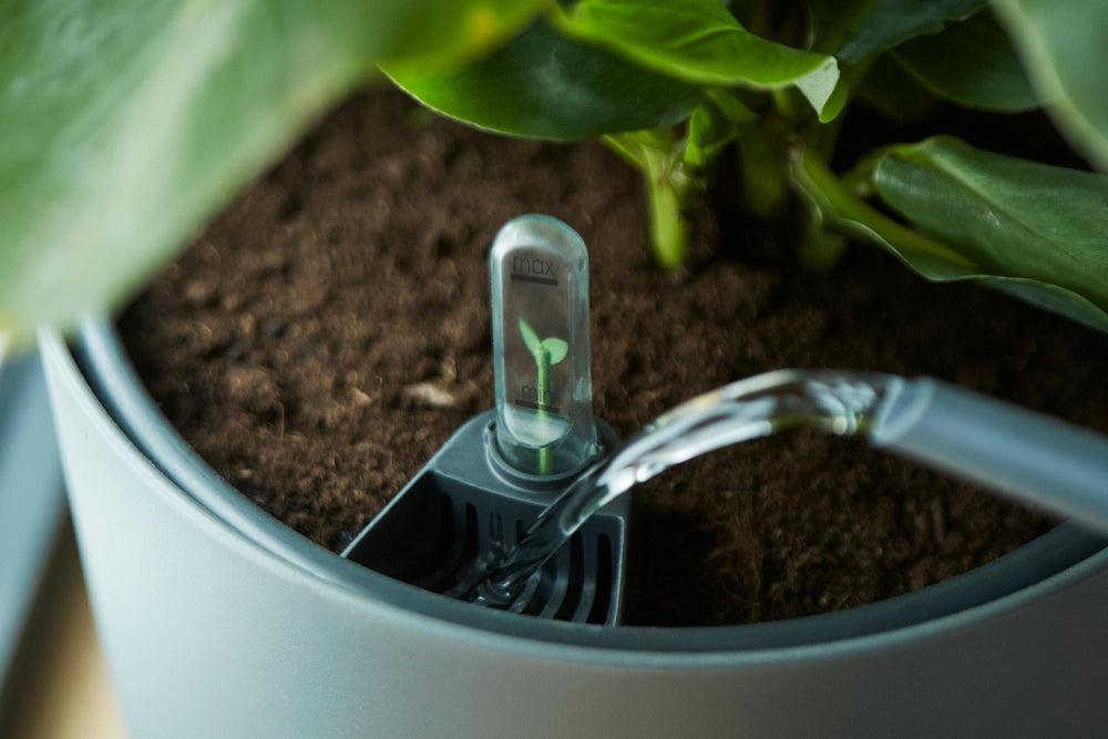 Zelf Watering systeem - 17 cm - Plant - plantenmagie