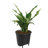 Zelf Watering systeem - 17 cm I Planten Magie-Verzorging-Planten Magie